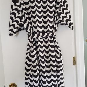 Long botton down shirt dress